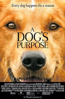 A Dogs Purpose