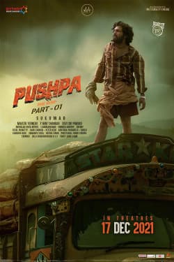 Pushpa The Rise