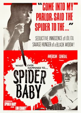 Spider Baby